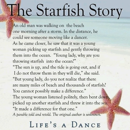 Starfish-image-story.jpg
